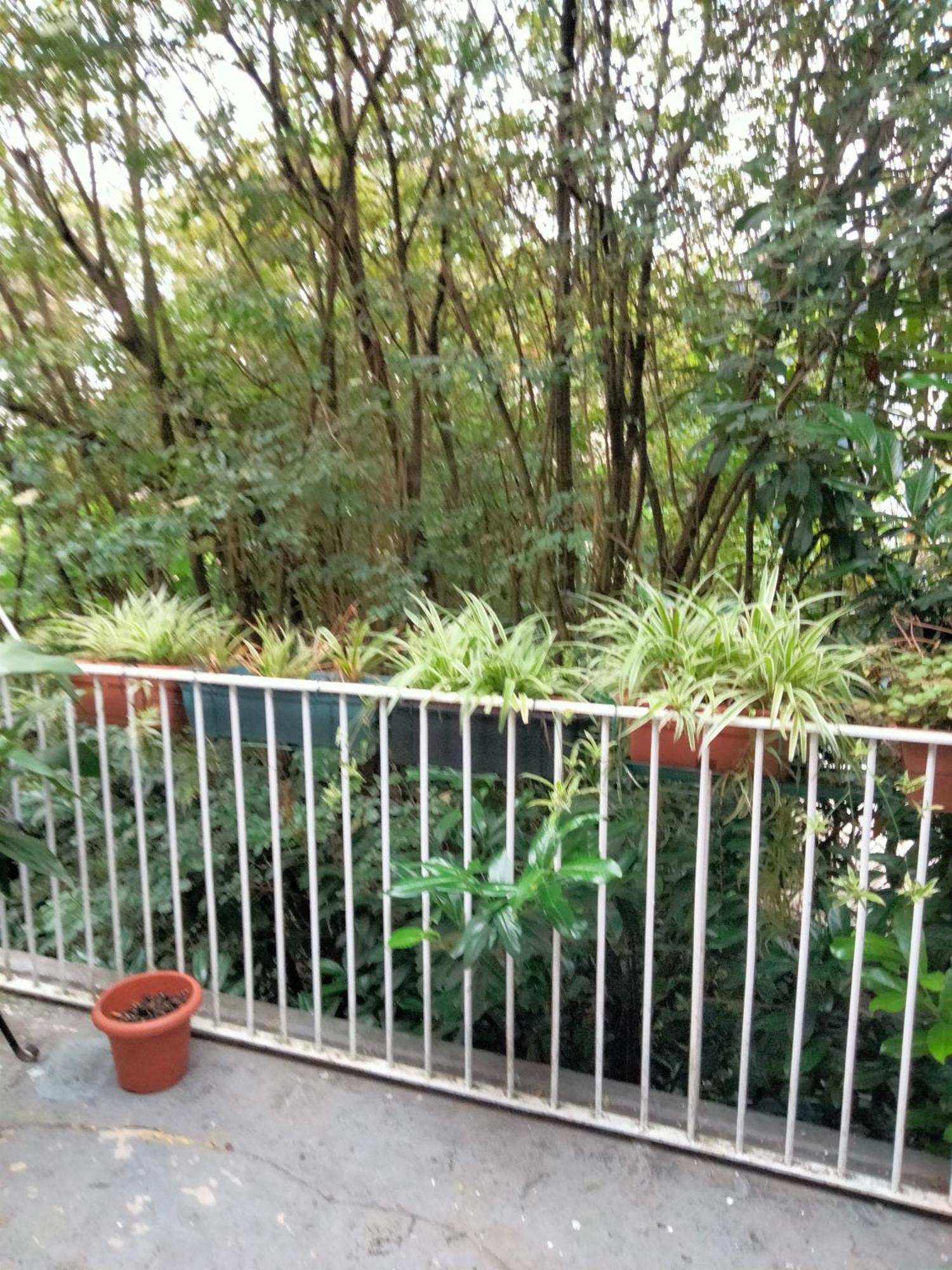 Dans L'Atelier Hostel Unidade Porta Nova 布拉加 外观 照片
